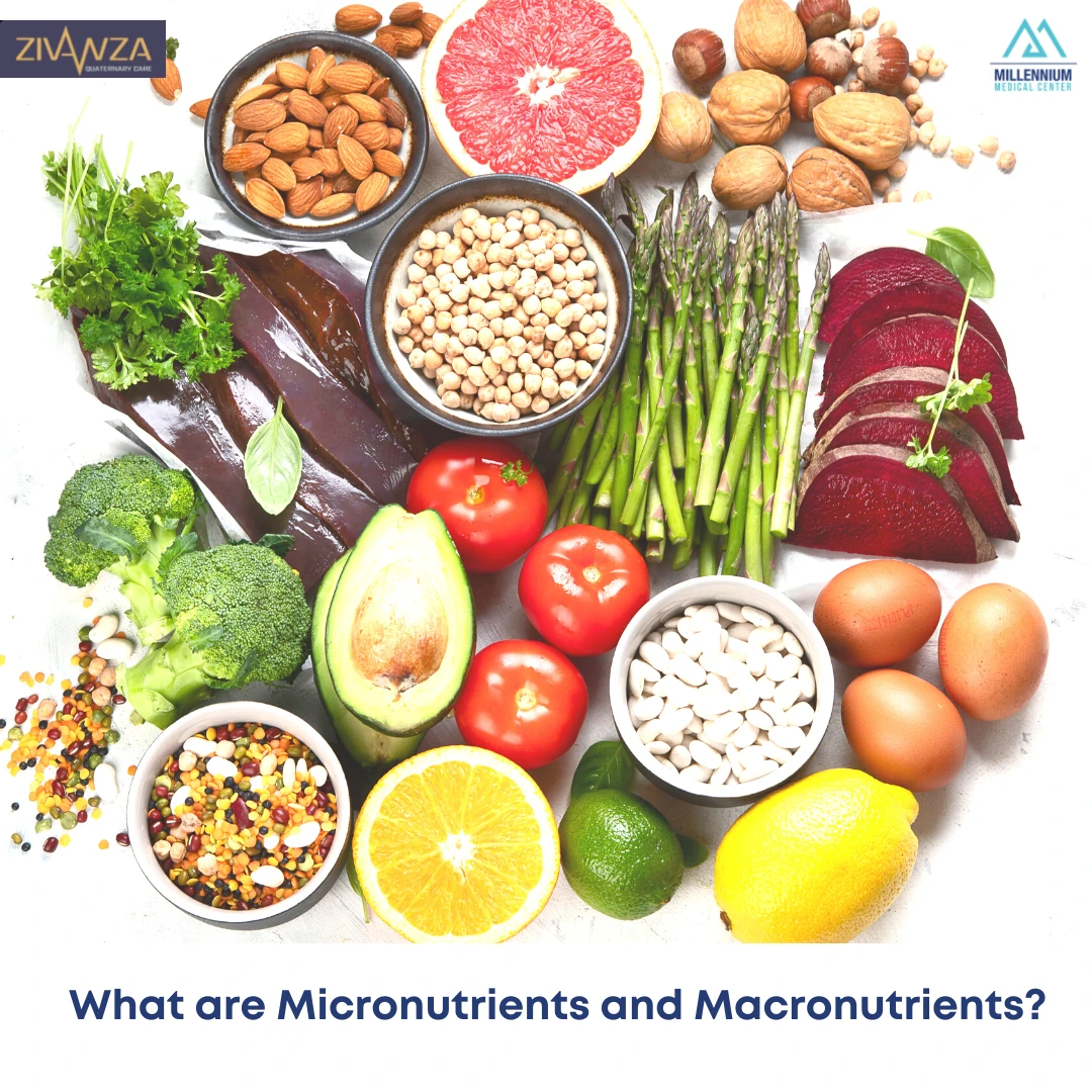 micronutrients and macronutrients